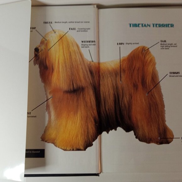 Complete Handbook of Tibetan Terrier (Rare Breed) by Keleman, Anne Hardback - Picture 6 of 7